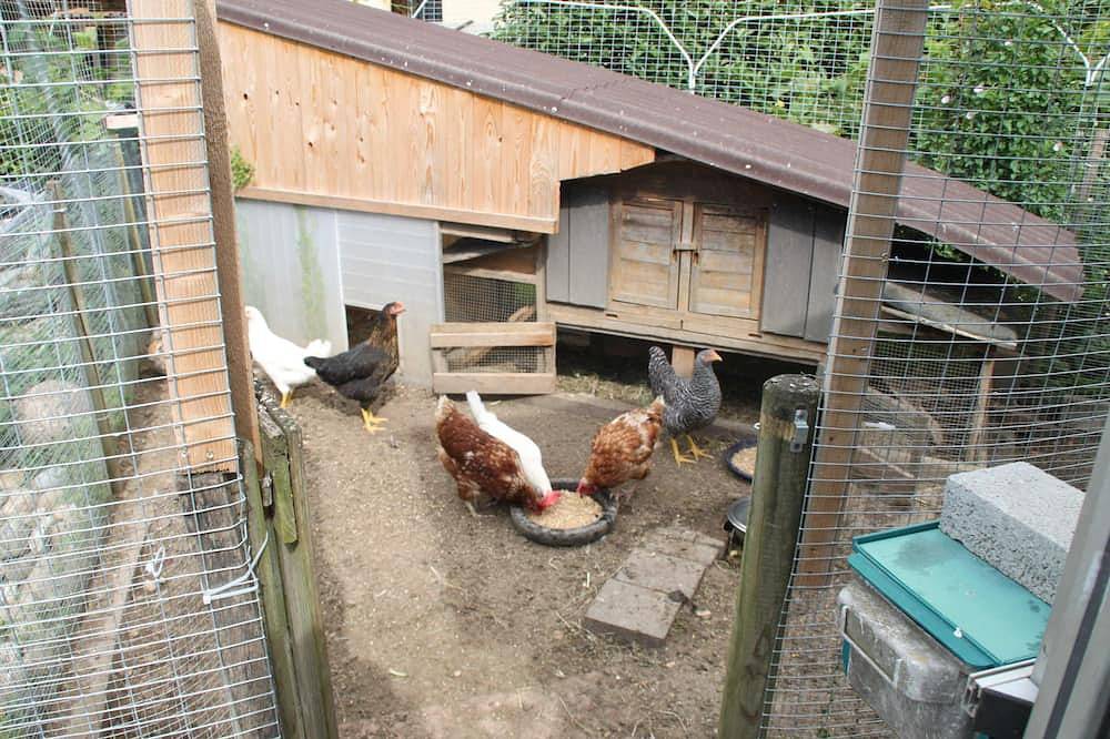 Geheel appartement, Gästehaus Schwien - Appartement 66 qm, voor max. 6 mensen. in Europa-Park, Rust