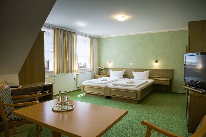 Zimmer für 4 Personen, mit Whirlpool und Terrasse sowie Sauna, mit Haustier in Saalfeld/Saale