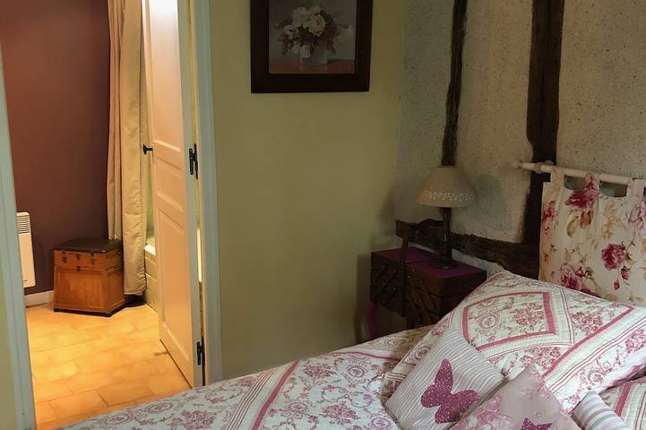 Location de vacances pour 6 personnes, avec jardin à Vernou-sur-Brenne - 3