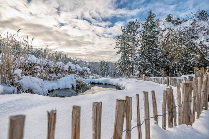 Ferienwohnung für 4 Personen, mit Sauna und Garten sowie Balkon in Breitenberg
