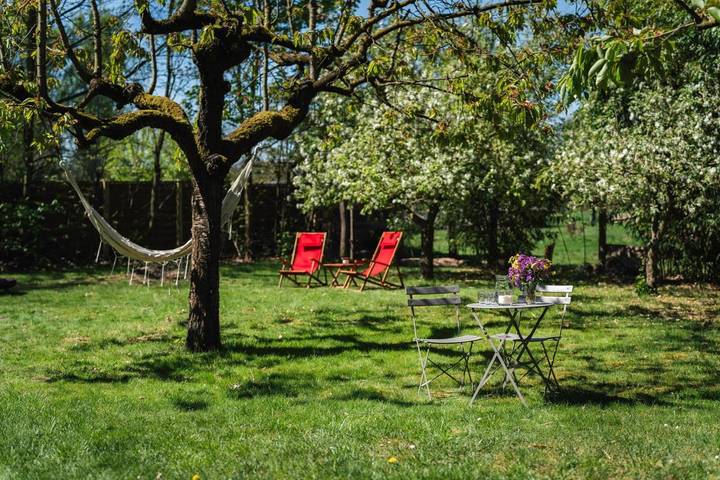 Ferienwohnung für 6 Personen, mit Terrasse und Garten in Bad Saarow - 2