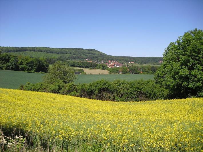 Ferienhaus in Blomberg mit Schwimmbecken in Blomberg, Kreis Lippe