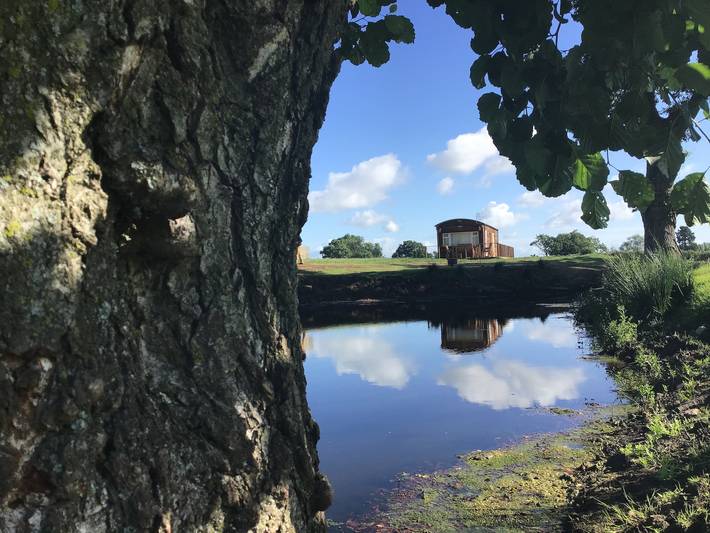Cottage for 4 people in Monmouthshire
