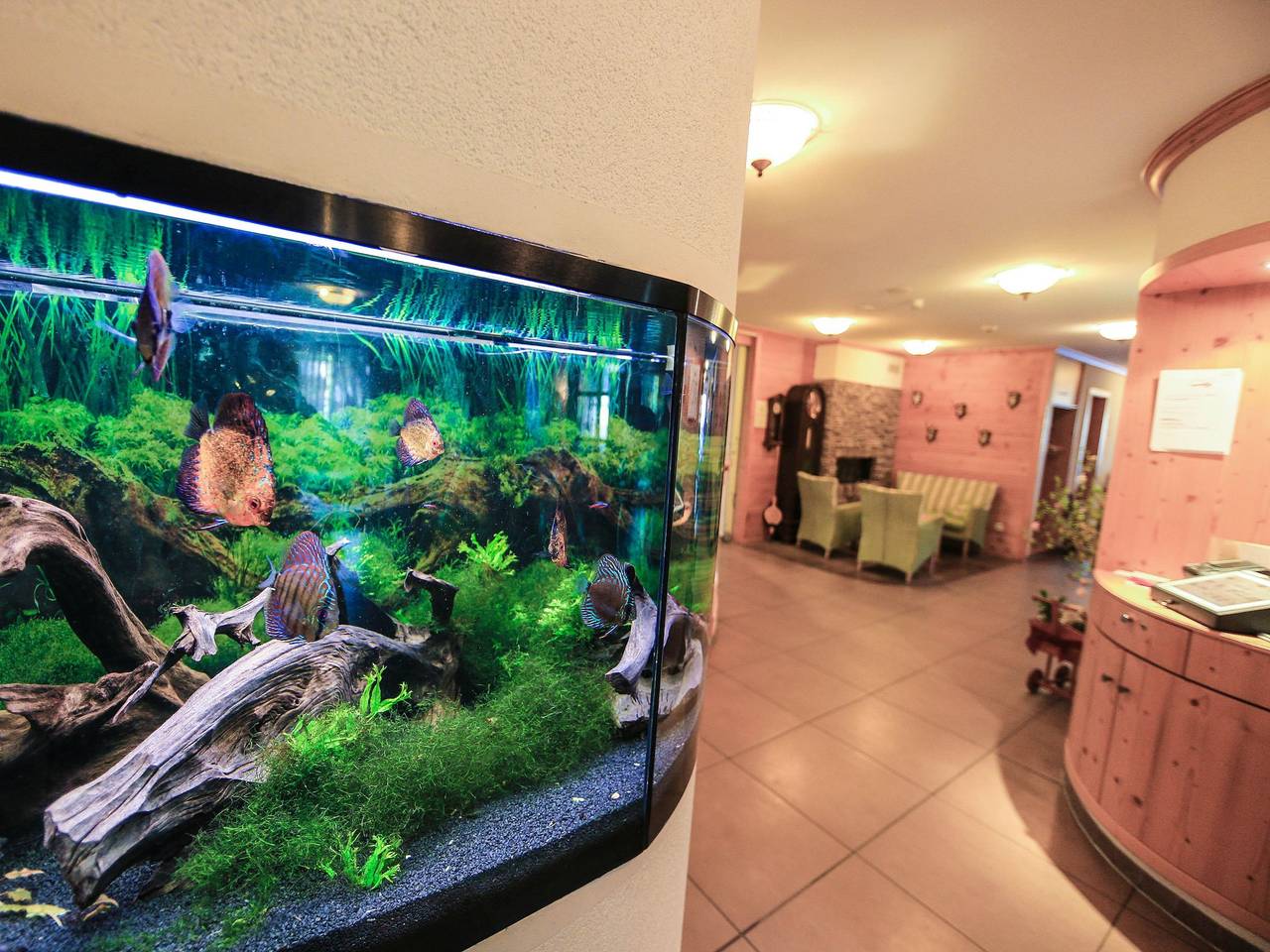 Hotel-Restaurant Schwörer - Doppelzimmer Komfort im Anbau in Lenzkirch, Forêt-Noire du Sud