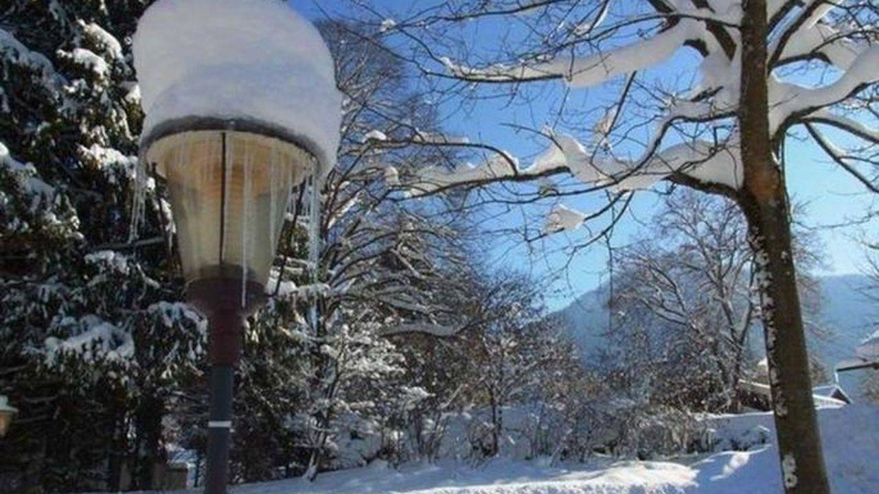 Entire holiday apartment, Holiday apartment for 3 people with garden in Rottach-Egern, Bavarian Alps