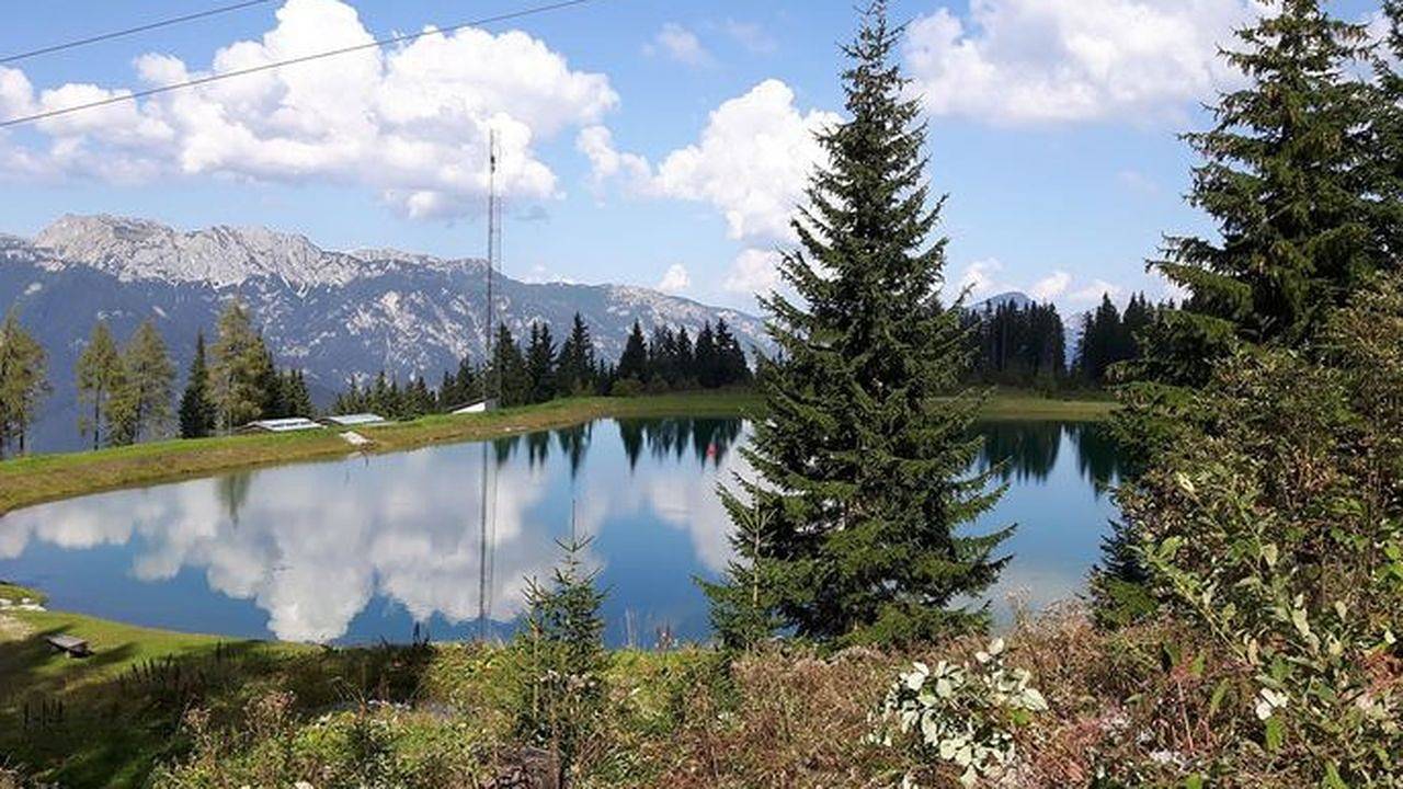 Ganze Ferienwohnung, Ferienwohnung für 6 Personen (53 m²) in Schladming in Schladming, Schladming-Dachstein