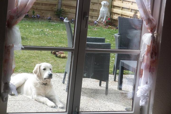 Maison d’hôte pour 5 personnes, avec bassin pour enfant et vue ainsi que jardin et piscine en Belgique - 3