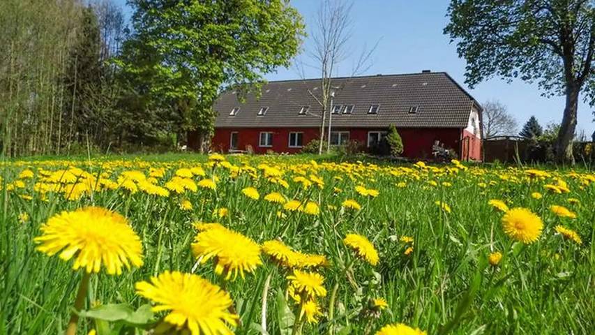 Ferienwohnung für 6 Personen, mit Garten und Terrasse in Ahrenshagen-Daskow