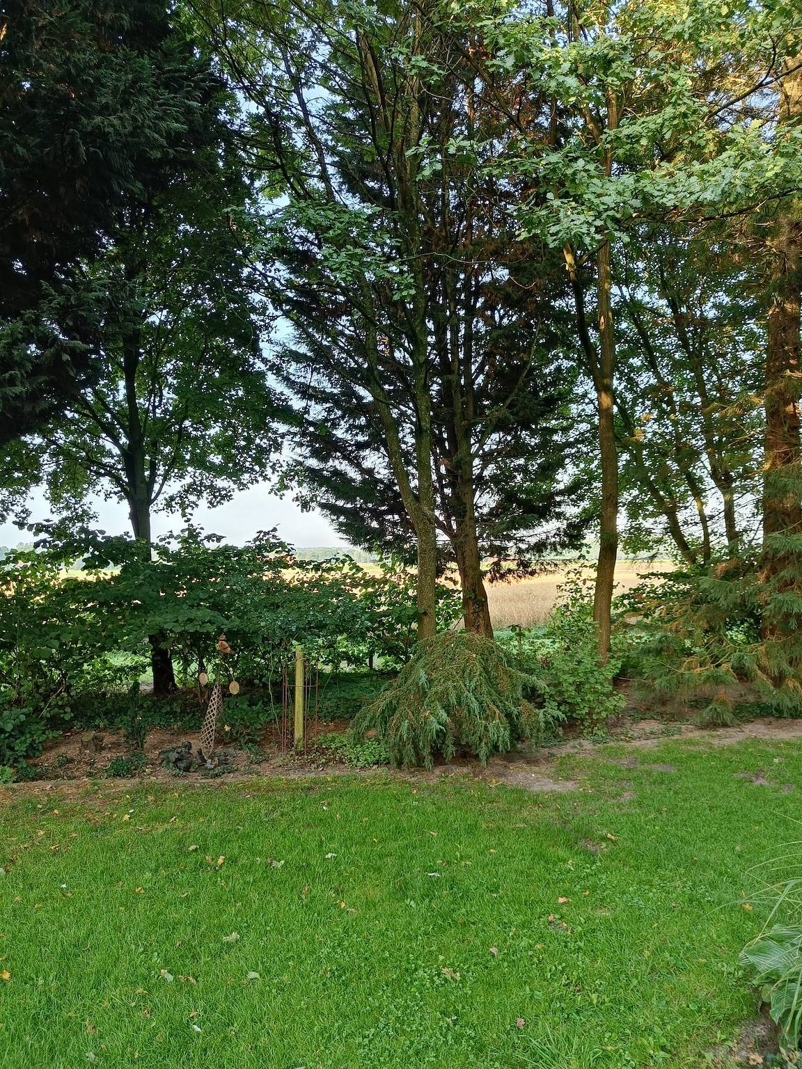 Ferienwohnung am Kleeberg - Ferienwohnung, 87 m², 1-5 Pers. in Lengerich, Münsterland