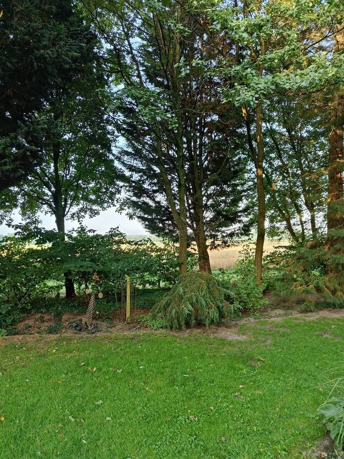 Location de vacances pour 5 personnes, adapté aux familles dans Ibbenburen - 4