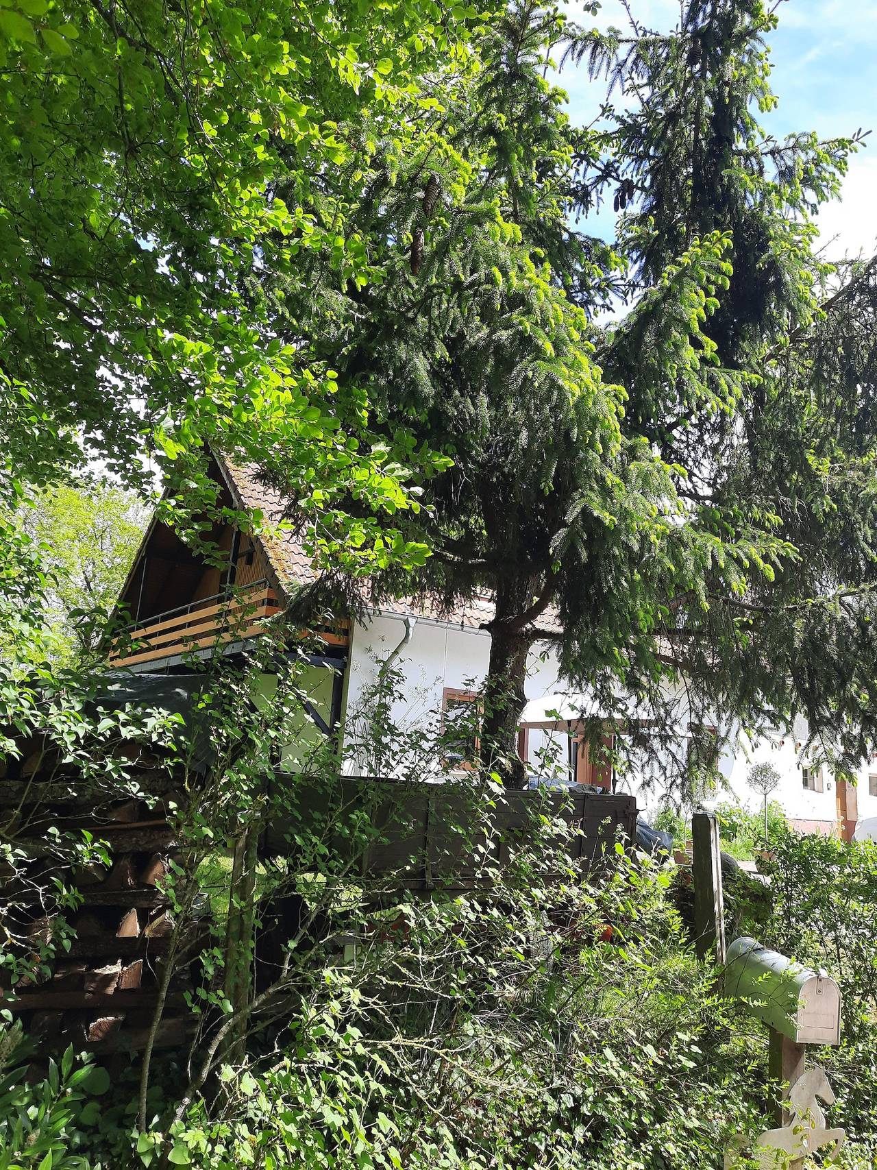 Ganze Ferienwohnung, Appartement/Fewo, Bad, Wc, 1 Schlafraum in Gerolstein, Vulkaneifel