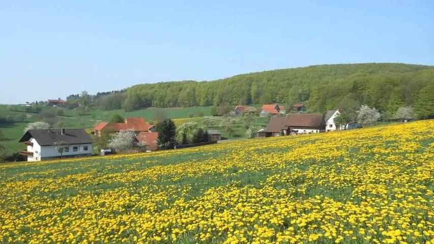 Ferienwohnung für 4 Personen, mit Terrasse und Garten in Poppenhausen - 4