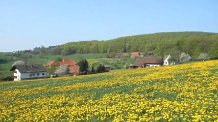 Ferienwohnung für 4 Personen in Poppenhausen, Biosphärenreservat Rhön, Bild 3