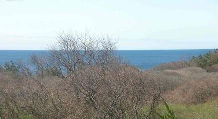 Vacation House for 10 Guests in Montauk, North Fork, Picture 3