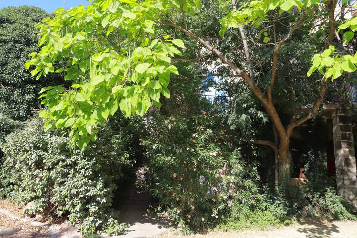 Gîte pour 2 personnes, avec terrasse dans le Gard - 3