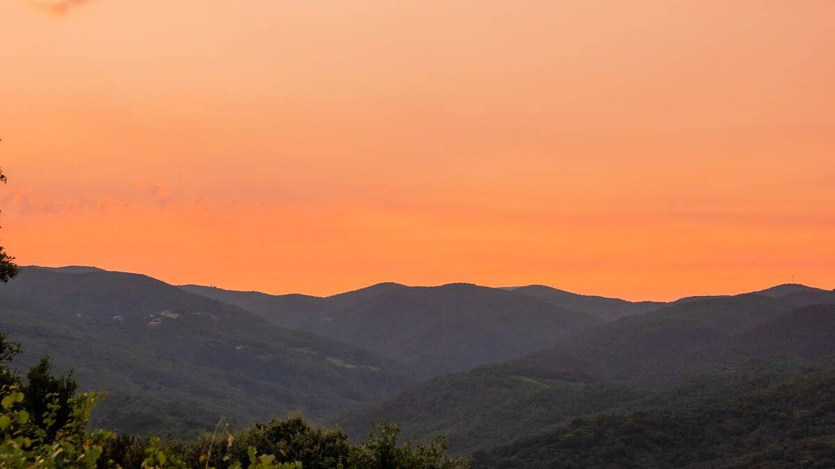 ※ Paradis des Albères ※ Refuge Vue Mer & Montagne in Céret, Región Céret
