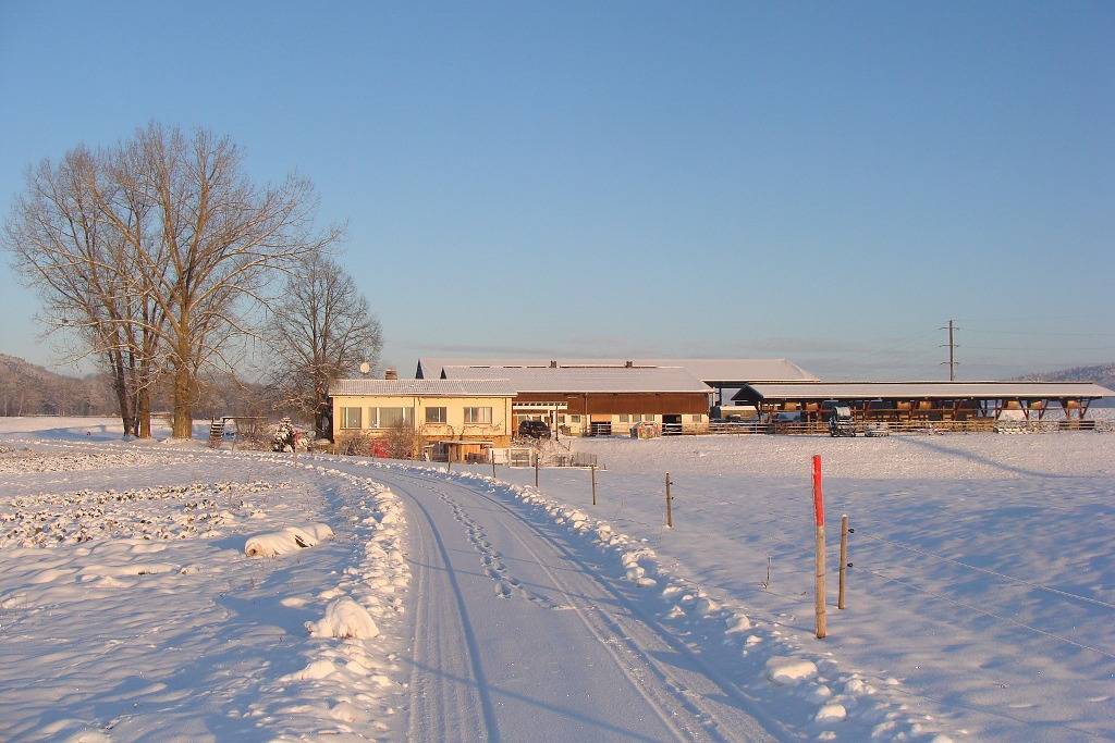 Ganze Ferienwohnung, Erlebnis- und Biobauernhof Bolderhof, (Hemishofen). in Hemishofen, Bodensee (Schweiz)