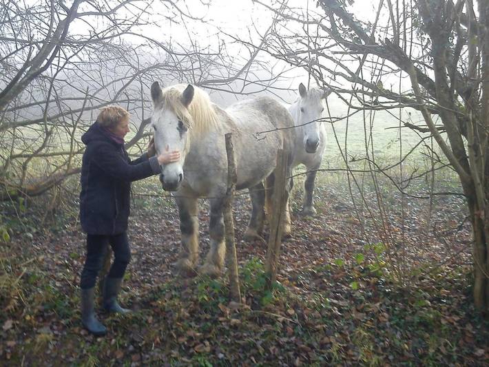 Location de vacances pour 6 personnes, avec vue ainsi que jardin et vue sur le lac dans Longny-les-Villages - 3
