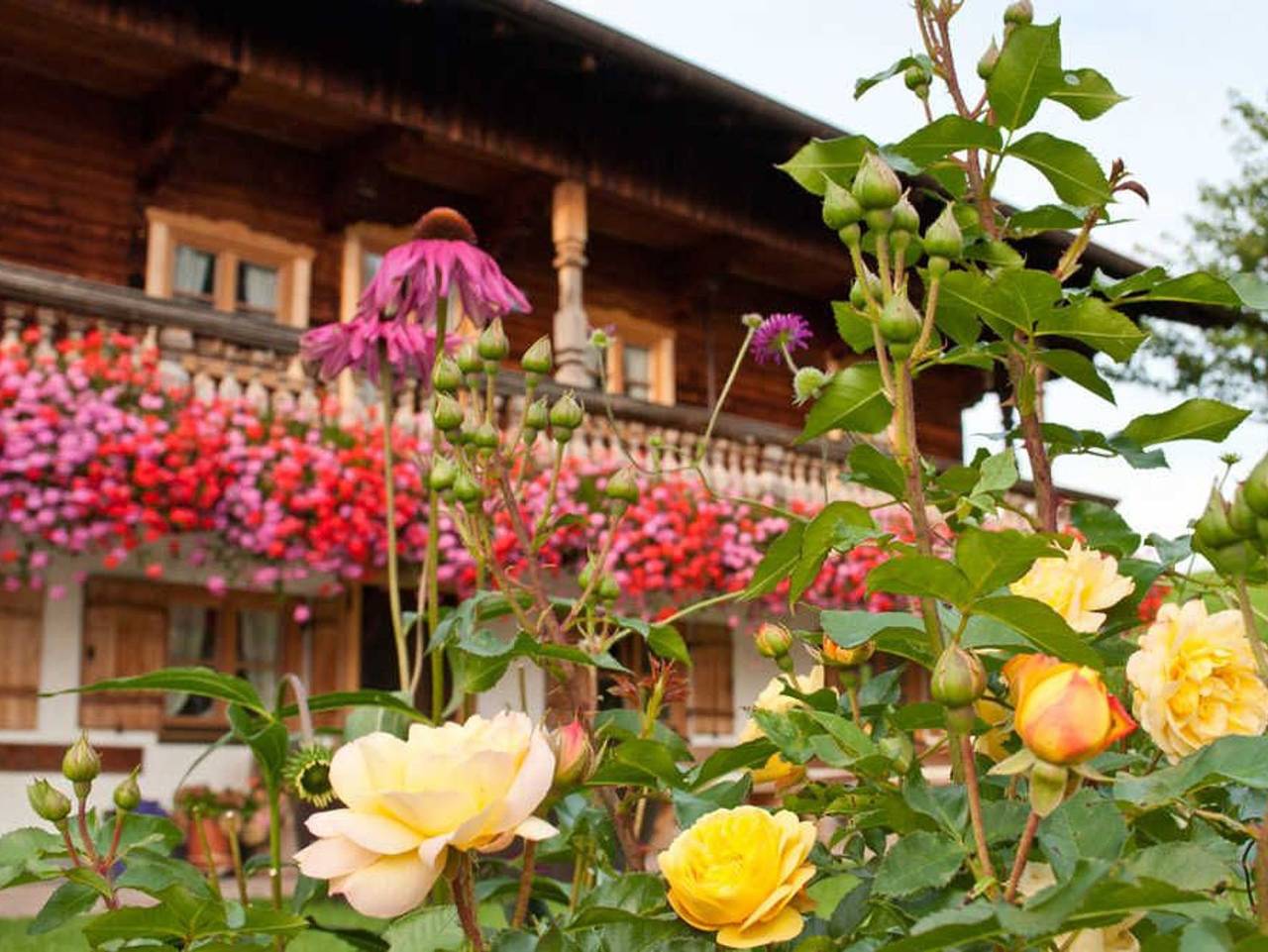 Berghammers Biobauernhof in Gmund, Bayerische Alpen