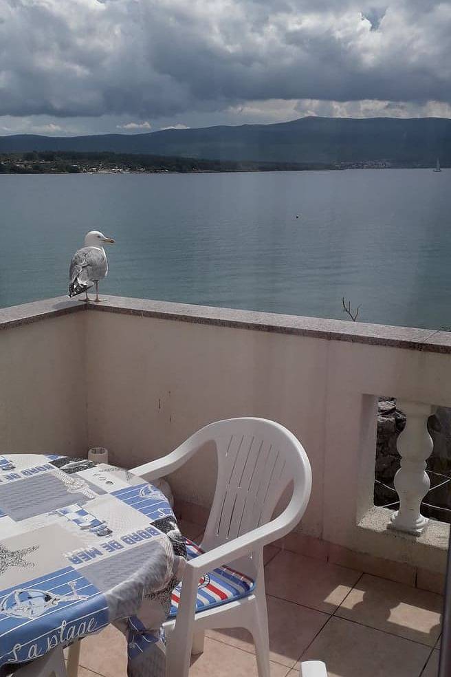 Entire apartment, One bedroom apartment near beach Krk A-5399-a in Krk Town, Krk