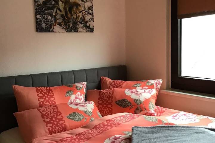 Ferienwohnung für 4 Personen, mit Garten und Terrasse in Klingenthal - 3
