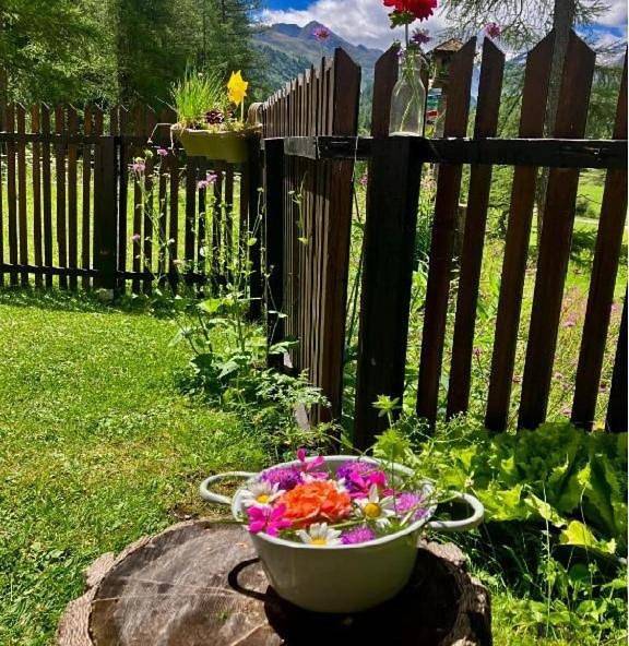 Ganze Wohnung, Apartment with Mountain View in Obergurgl, Sölden (Österreich)