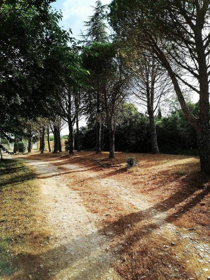 Location de vacances pour 4 personnes, avec vue et jardin à Bourg-Saint-Andéol - 3