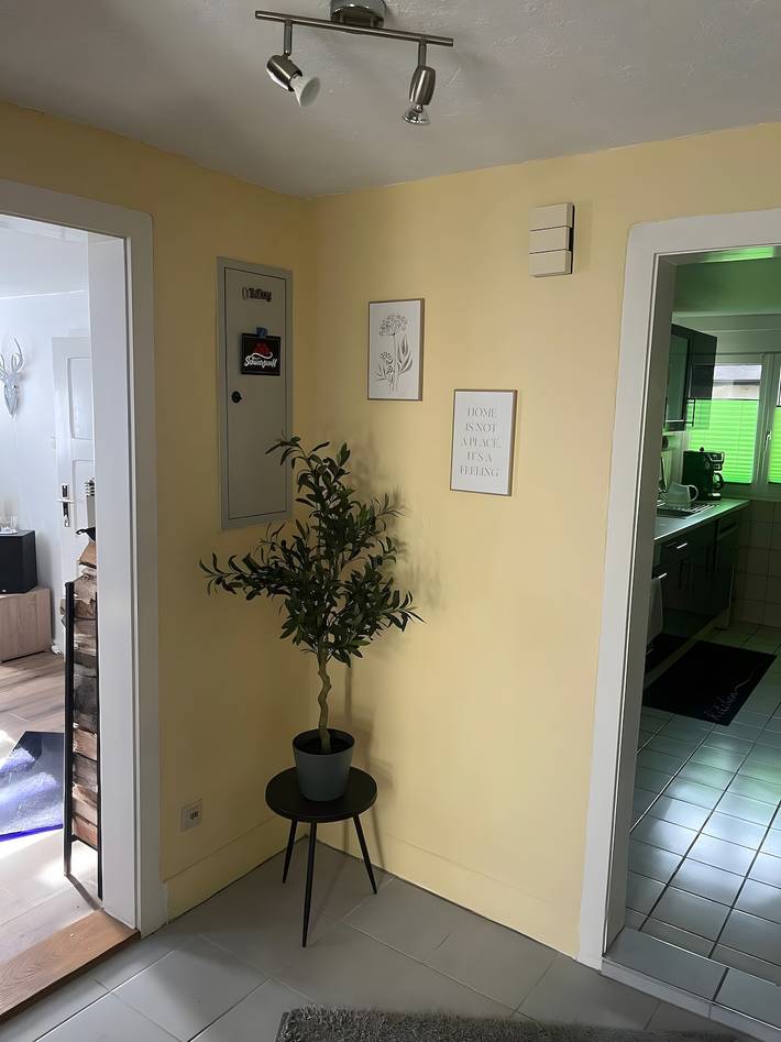 Hel lejlighed, Apartment 'Schillinger' with Wi-Fi in Gernsbach, Nord Sortskoven