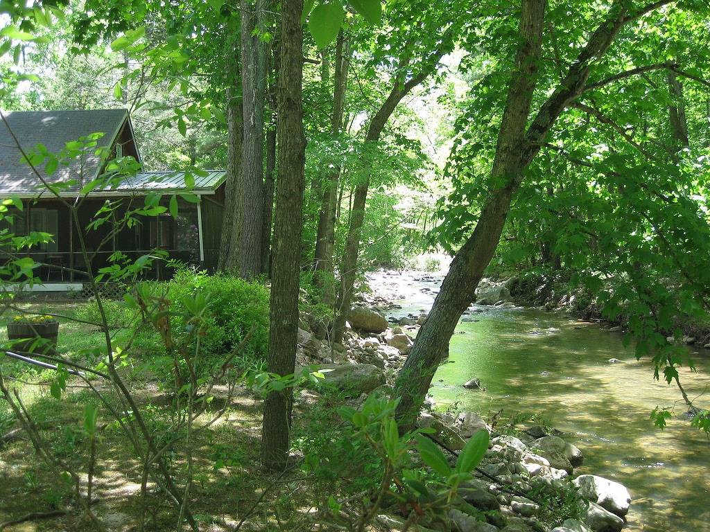 \"The Cabin At Trout Run\" - Genießen Sie die Klänge des Streams nur wenige Schritte entfernt! in Seneca Rocks