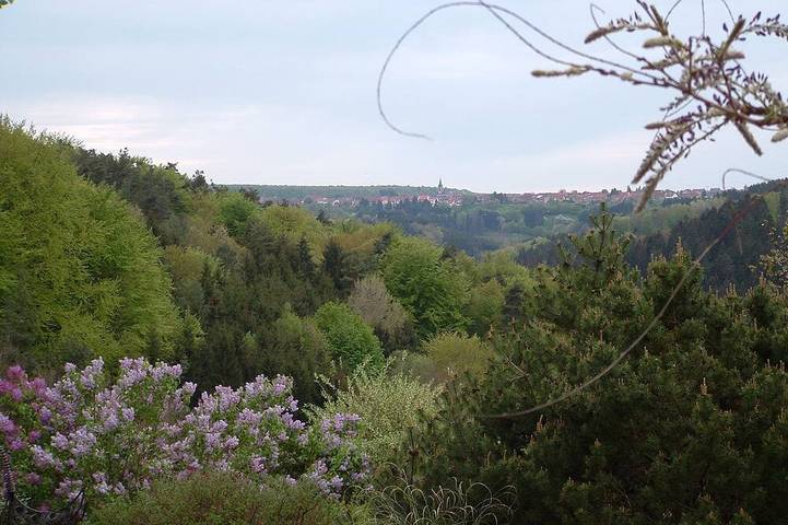 Holiday home for 12 people, with garden - 1