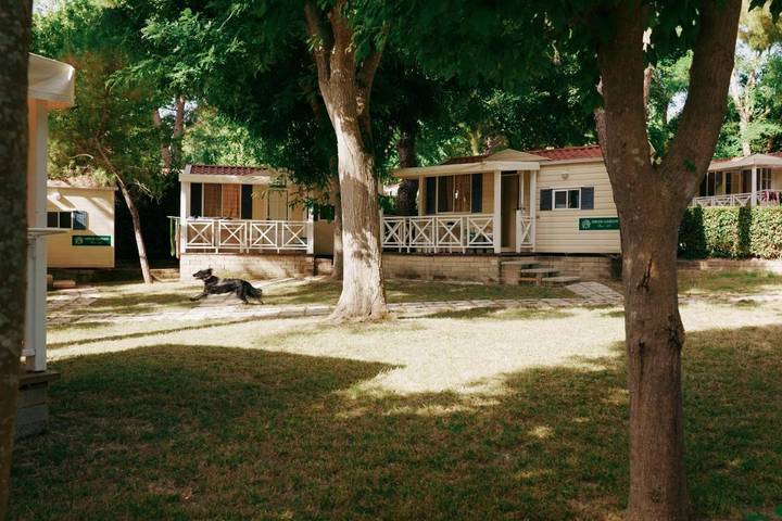 Parc de vacances pour 3 personnes, avec piscine et jardin à Sirolo - 3