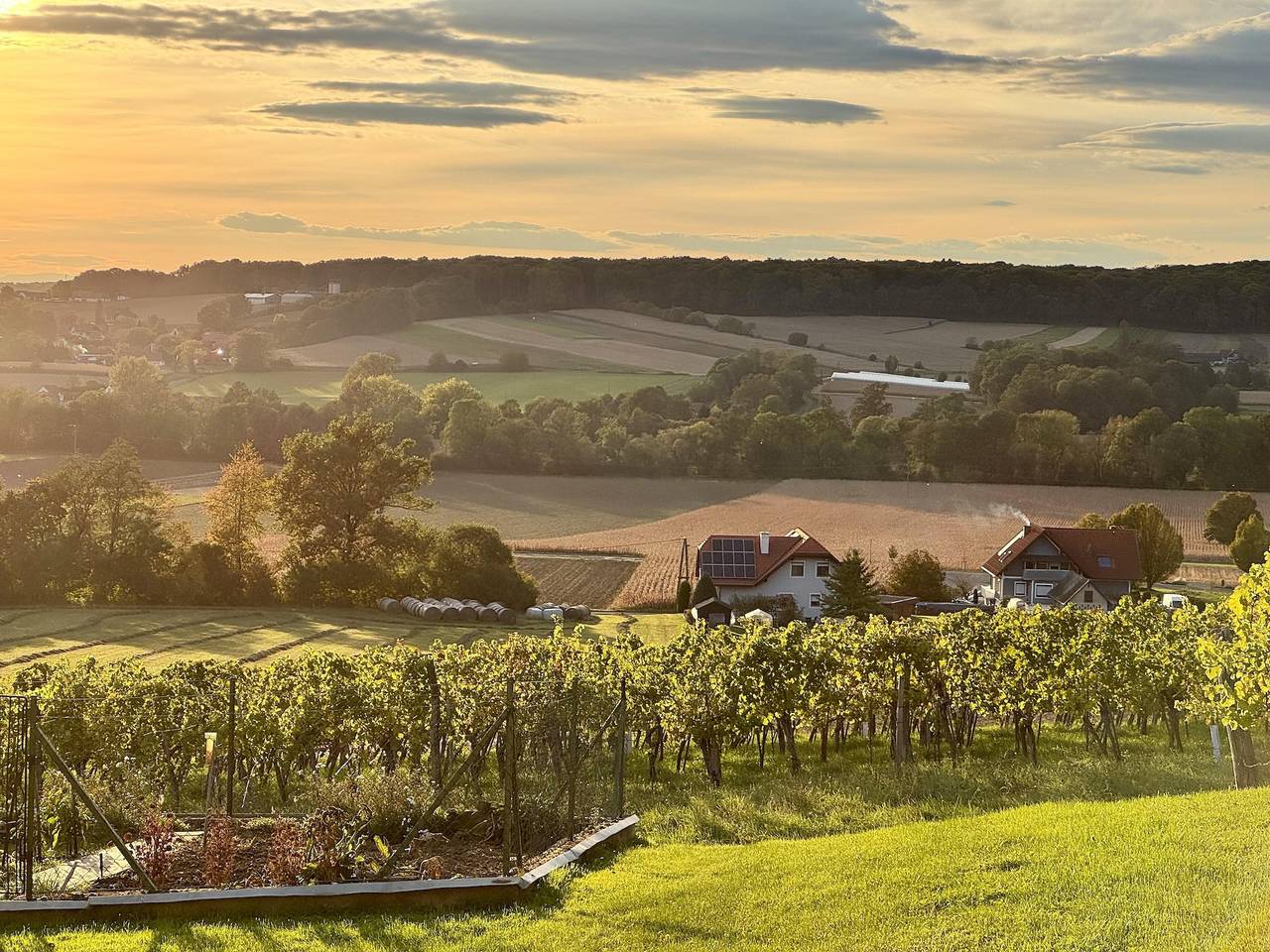 Ferienhaus "Kleine Auszeit" in Südoststeiermark, Tieschen