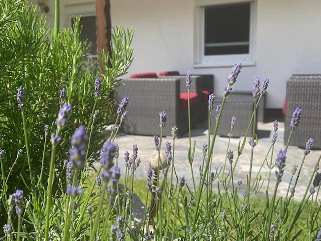 Ferienwohnung für 3 Personen, mit Balkon und Terrasse sowie Garten in Taching am See - 2