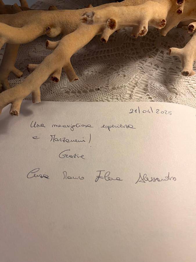 Regina Margherita B&B in Marzamemi, Siracusa e dintorni