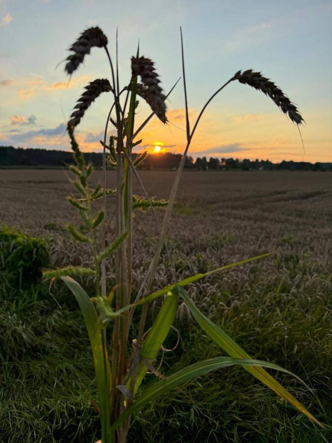 Ferienwohnung für 6 Personen, mit Garten und Ausblick in Memmingen - 4