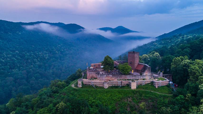 Ferienwohnung für 3 Personen, mit Garten, mit Haustier in Trifelsland