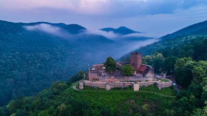Ferienwohnung für 3 Personen, mit Garten, mit Haustier in Deutsche Weinstraße