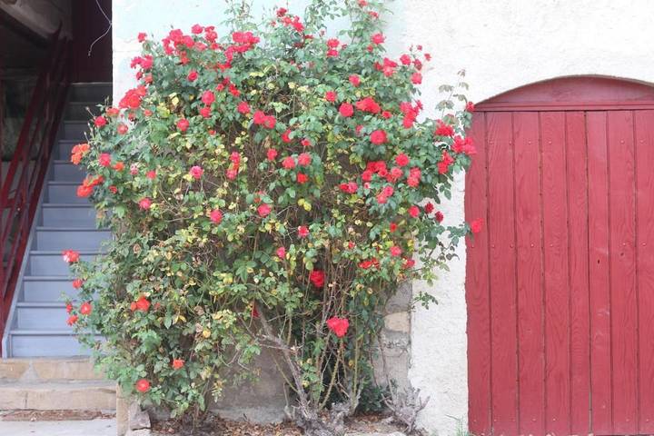 Location de vacances pour 15 personnes, avec piscine à Fleurie - 3