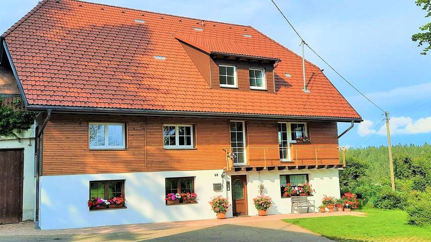 Ferienwohnung für 4 Personen, mit Garten, kinderfreundlich in Breitnau