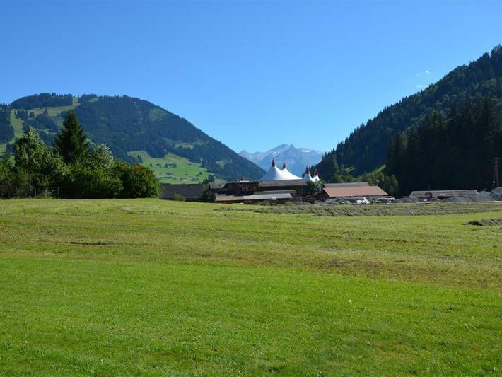 Appartement entier, Jacqueline 24 in Gstaad, Saanen
