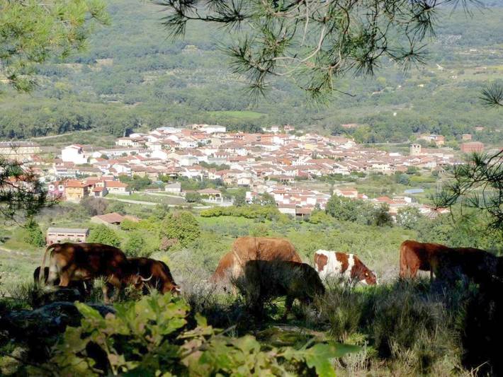 Casa rural para 4 personas, con terraza y vistas, Se admiten mascotas en Cuacos de Yuste - 4