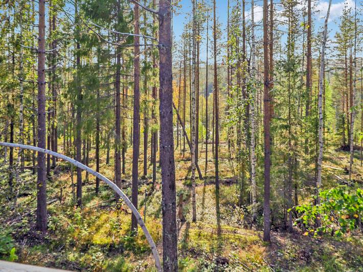 Lövgårdenin lohimaja in Överkalix, Lappland (Schweden)