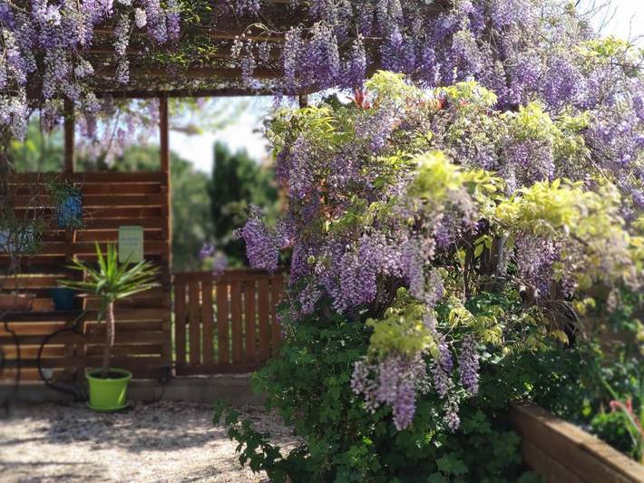 Maison de vacances pour 4 personnes, avec Jardin à Péret