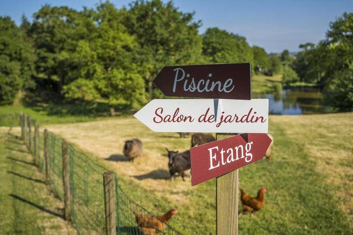 Gîte pour 4 personnes, avec Terrasse ainsi que Piscine et Vue dans Chemillé-en-Anjou - 3