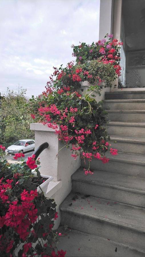 Gîte pour 3 personnes, avec vue et jardin à Brassac (Tarn) - 3