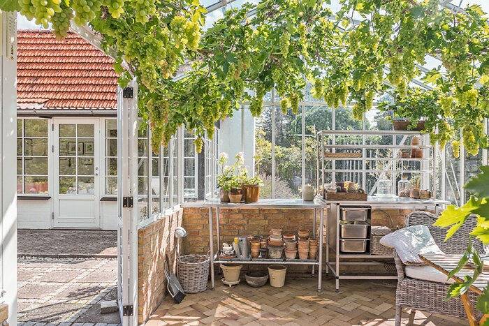 Meerblick und Orangerie auf der zauberhaften Insel Møn in Ulvshale, Vordingborg und Umgebung