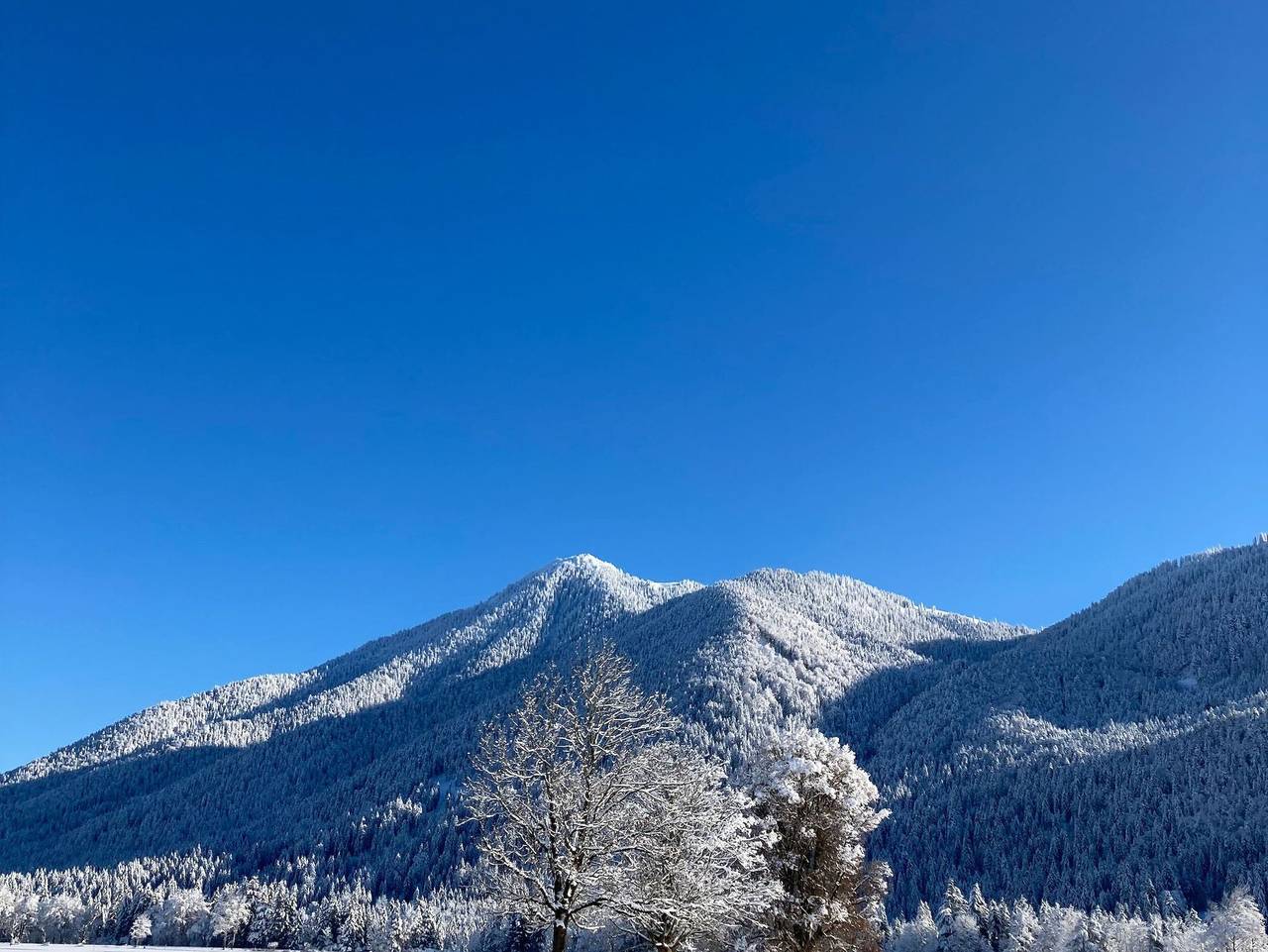 Ganze Ferienwohnung, Ferienwohnung Christine - Ferienwohnung Christine in Kreuth, Bayerische Alpen