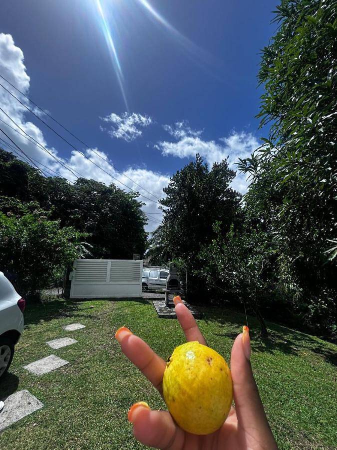 Location de vacances pour 6 personnes, avec terrasse et vue à Le Lamentin - 2