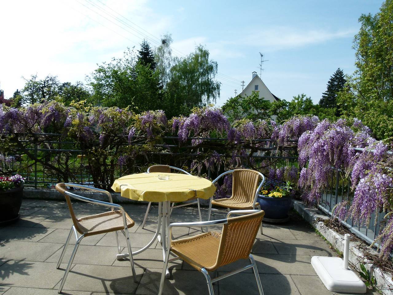 Ganze Wohnung, Ferienwohnung 'Ferienwohnung B2, 60qm' mit Seeblick und Wlan in Meersburg, Obersee (Bodensee)