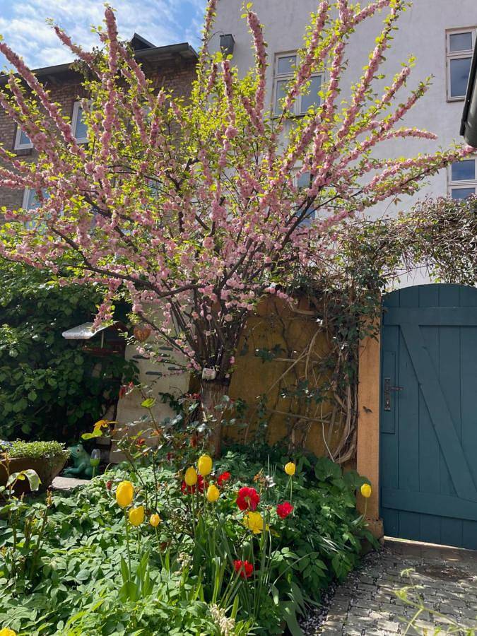 Ferienhaus für 3 Personen, mit Garten und Ausblick in Stralsund - 2